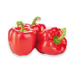 Poivron Rouge